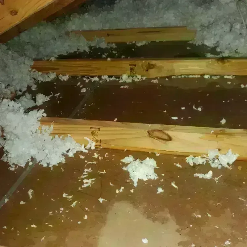 Attic Water Damage in Shafer, MN